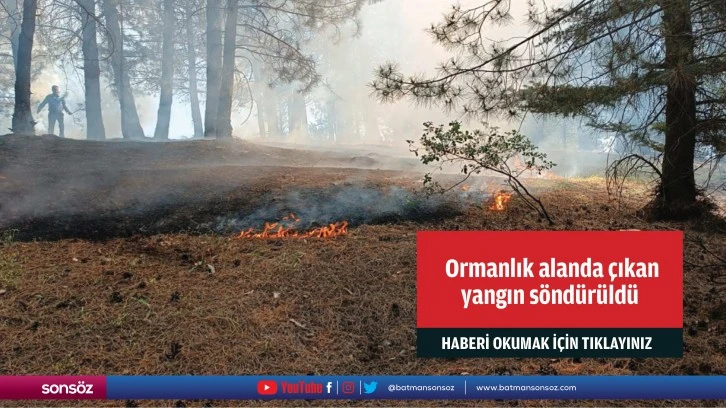  Ormanlık alanda çıkan yangın söndürüldü