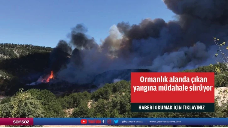  Ormanlık alanda çıkan  yangına müdahale sürüyor