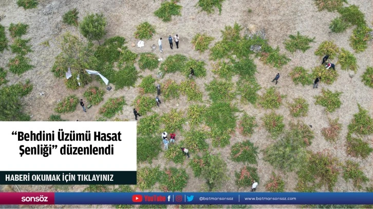 &quot;Behdini Üzümü Hasat Şenliği&quot; düzenlendi