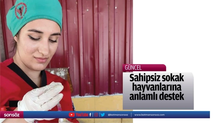 Sahipsiz sokak hayvanlarına anlamlı destek