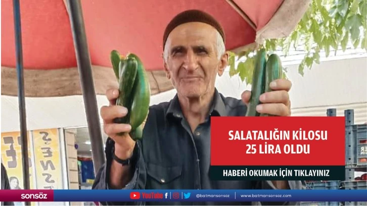 Salatalığın kilosu 25 lira oldu