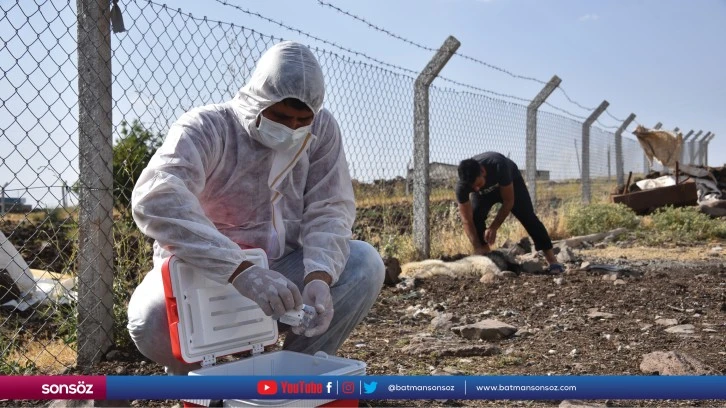 Şanlıurfa'da 1 mahalle kuduz nedeniyle karantinaya alındı