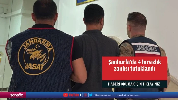 Şanlıurfa'da 4 hırsızlık zanlısı tutuklandı