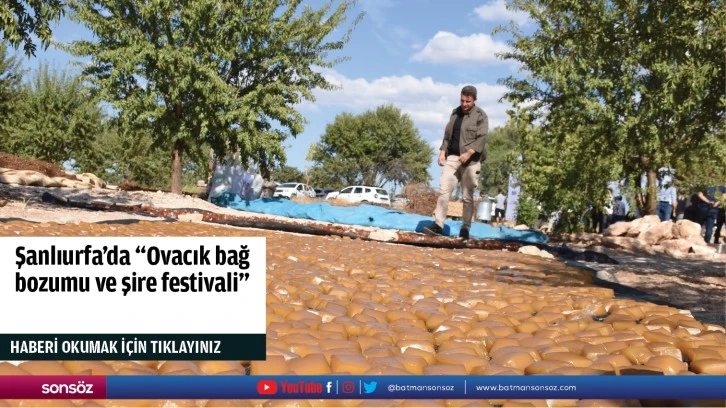 Şanlıurfa'da "Ovacık bağ bozumu ve şire festivali"