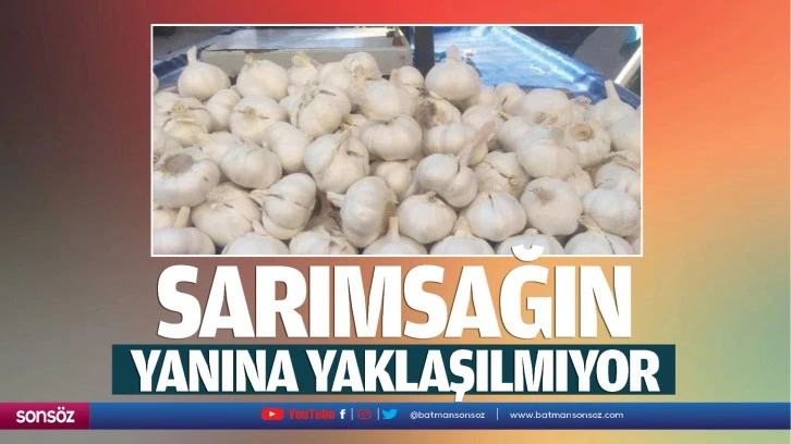 Sarımsağın yanına yaklaşılmıyor