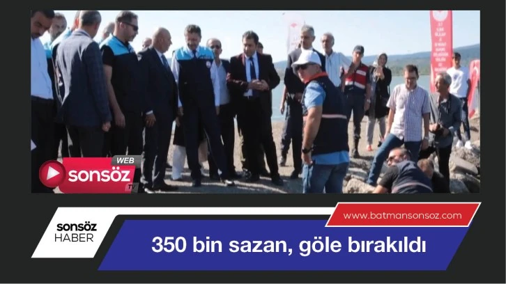 Sazanlar, göle bırakıldı