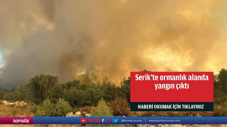 Serik'te ormanlık alanda yangın çıktı