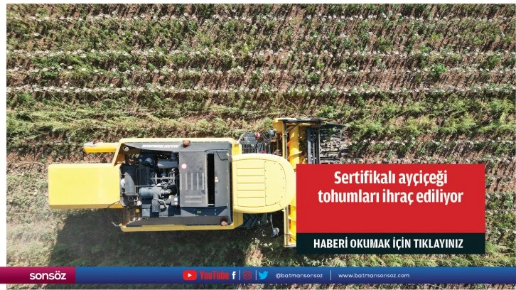 Sertifikalı ayçiçeği tohumları ihraç ediliyor