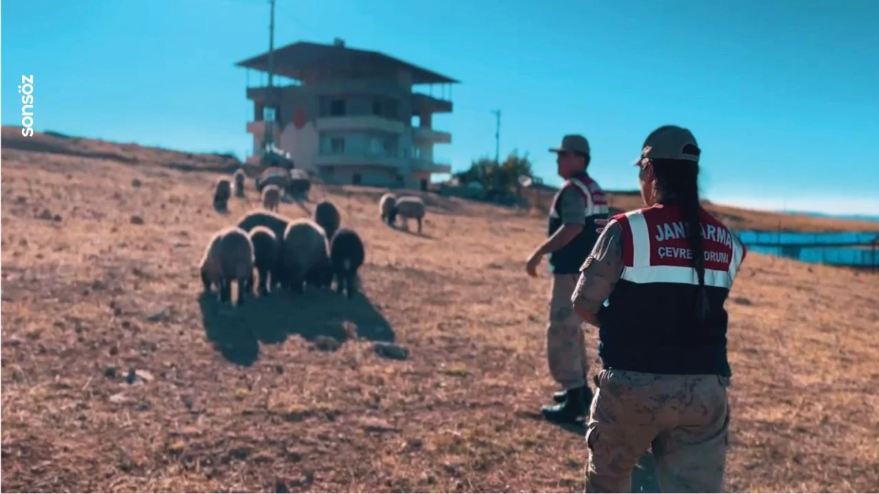 Siirt'te jandarma ekiplerinden denetim ve bilgilendirme çalışmaları yaptı