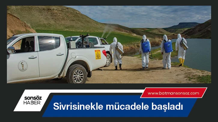 Sivrisinekle mücadele başladı