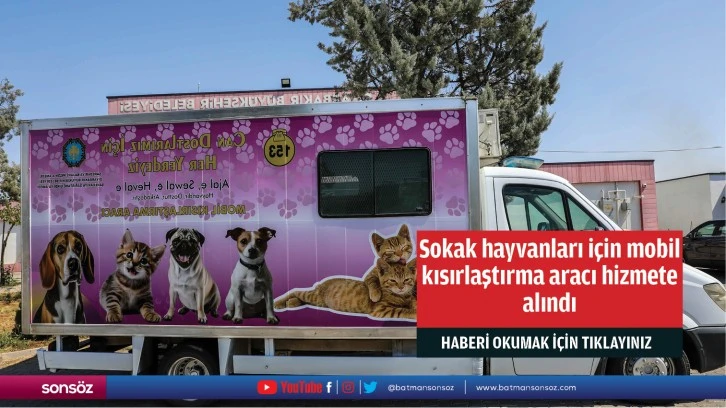 Sokak hayvanları için mobil kısırlaştırma aracı hizmete alındı