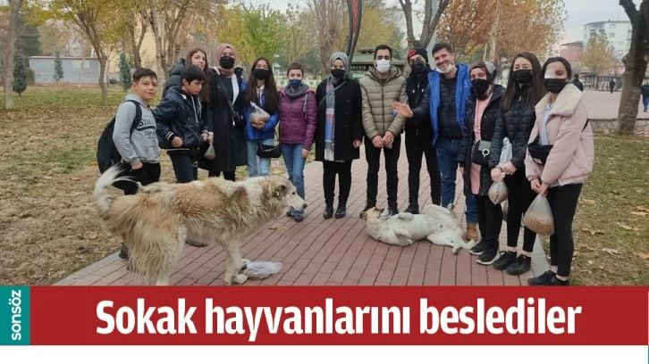 SOKAK HAYVANLARINI BESLEDİLER