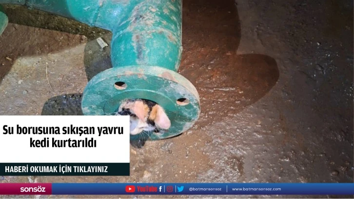 Su borusuna sıkışan yavru kedi kurtarıldı