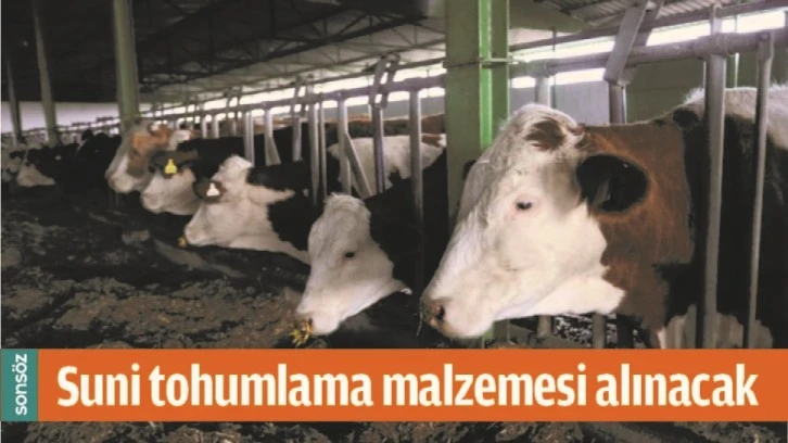 SUNİ TOHUMLAMA MALZEMESİ ALINACAK