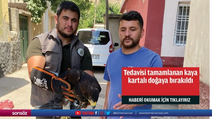 Tedavisi tamamlanan kaya kartalı doğaya bırakıldı