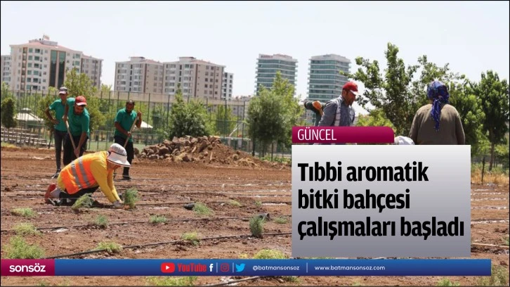 Tıbbi aromatik bitki bahçesi çalışmaları başladı  