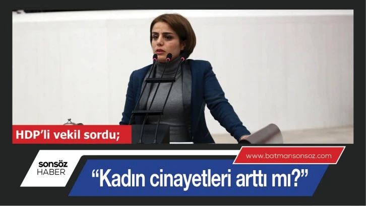  “KADIN CİNAYETLERİ ARTTI MI?”