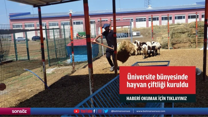 Üniversite bünyesinde hayvan çiftliği kuruldu