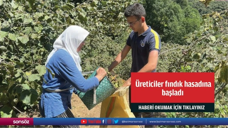 Üreticiler fındık hasadına başladı