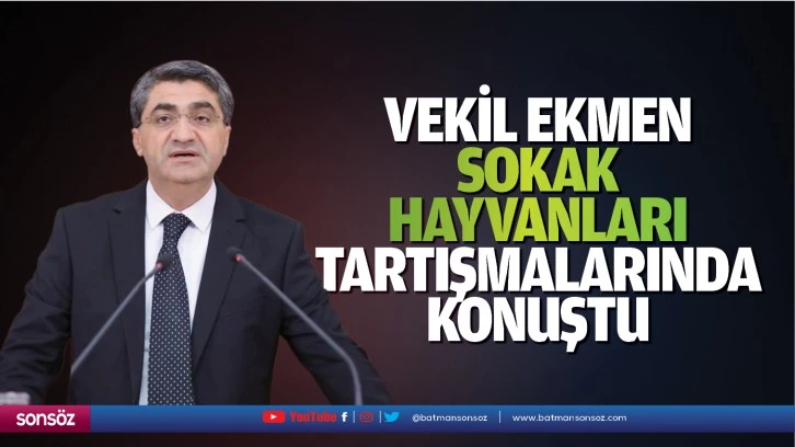 Vekil Ekmen, sokak hayvanları tartışmalarında konuştu