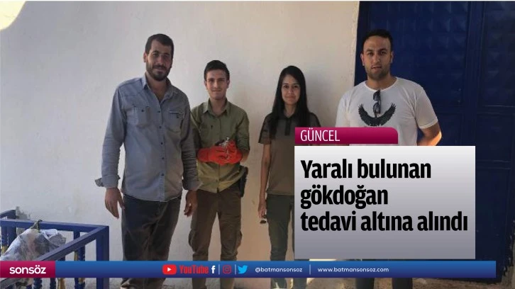 Yaralı bulunan gökdoğan tedavi altına alındı