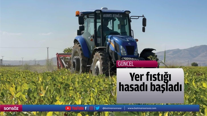 Yer fıstığı hasadı başladı