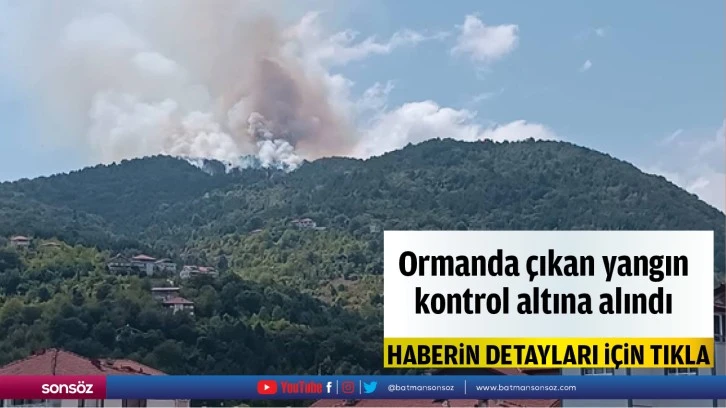 Zonguldak'ta ormanlık alanda çıkan yangın kontrol altına alındı