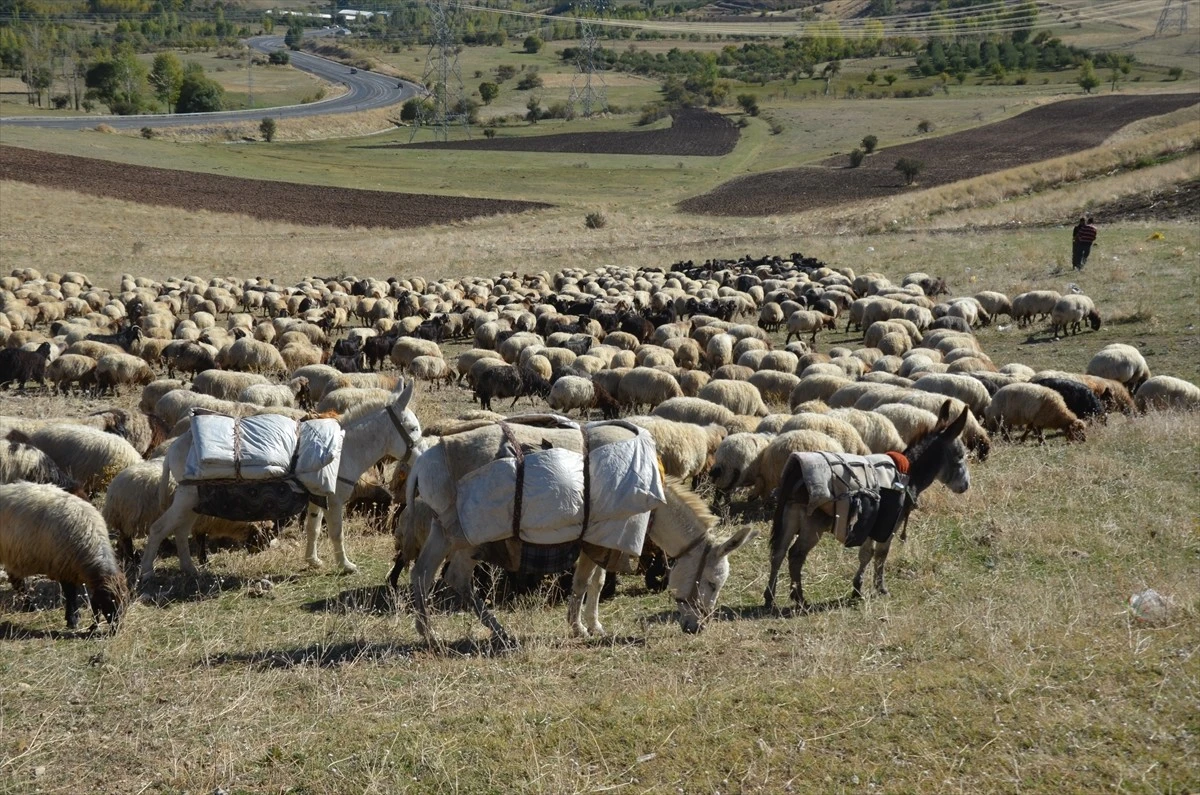 Zorlu göç başladı