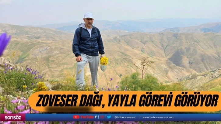 Zoveser Dağı, yayla görevi görüyor