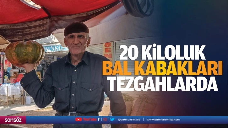 20 kiloluk bal kabakları tezgahlarda