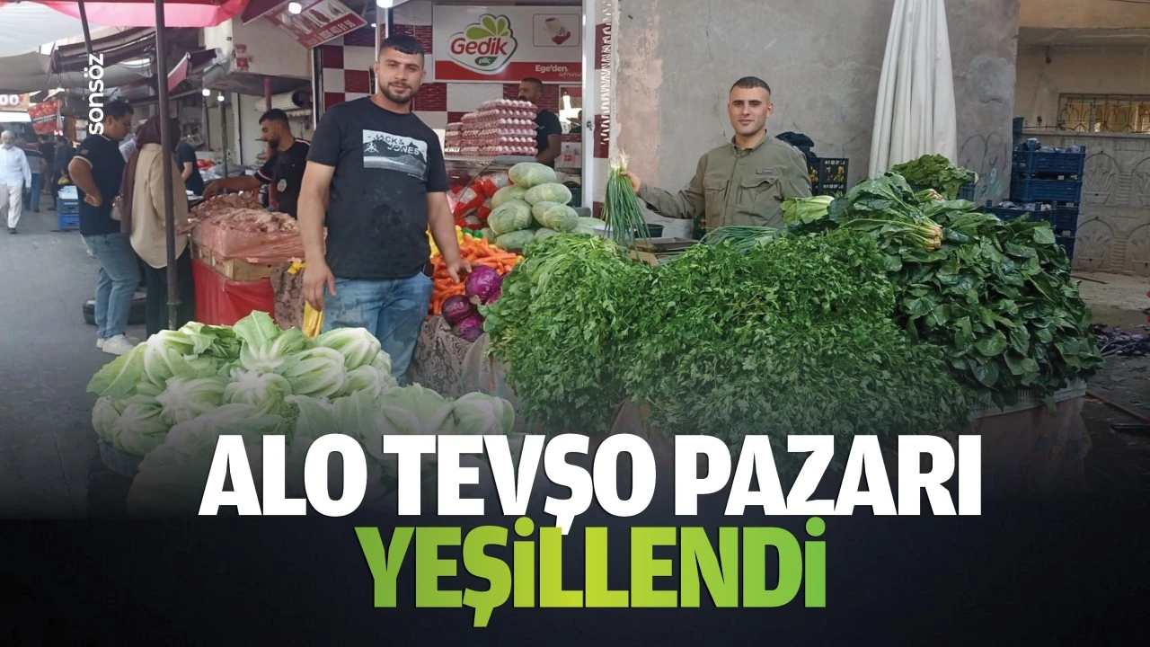 Alo Tevşo Pazarı yeşillendi