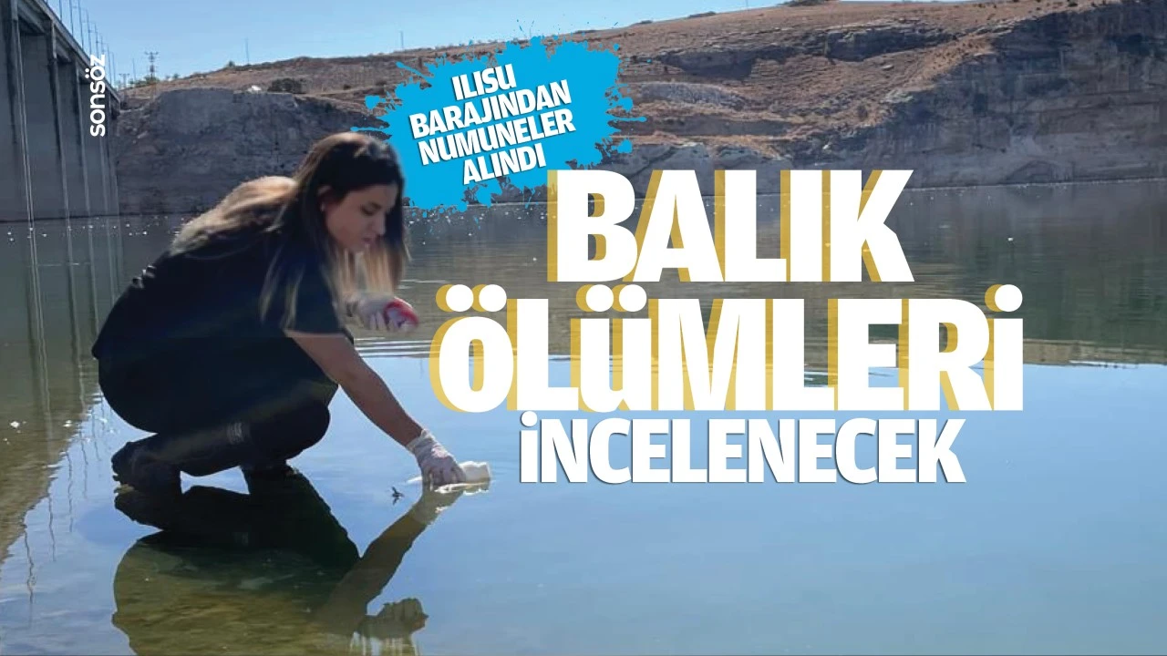 Balık ölümleri incelenecek