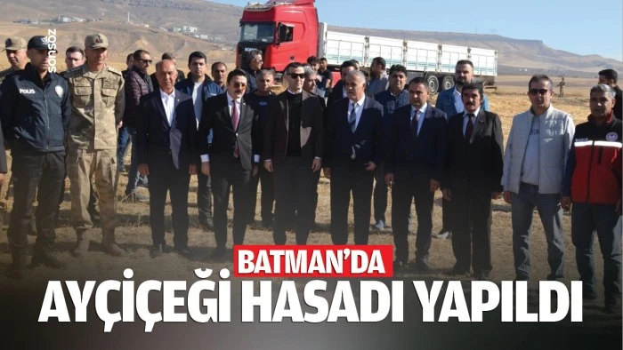 Batman'da ayçiçeği hasadı yapıldı