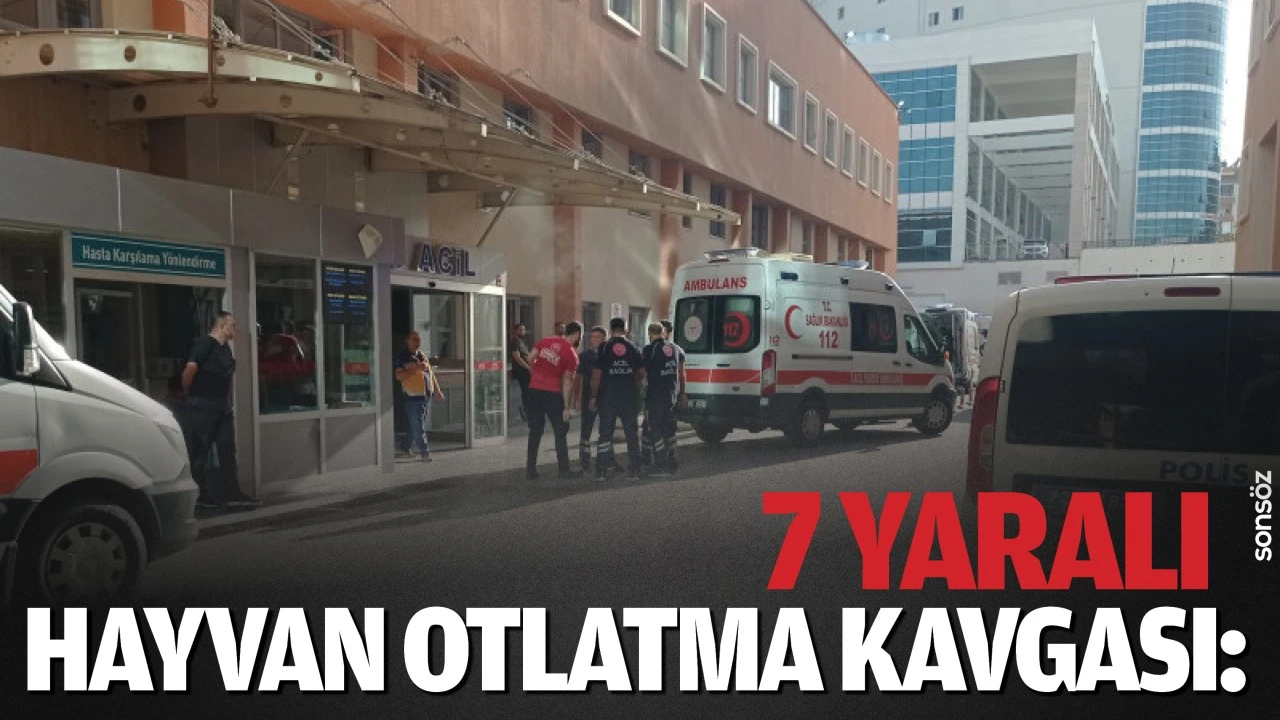 Batman’da hayvan otlatma kavgası: 7 yaralı