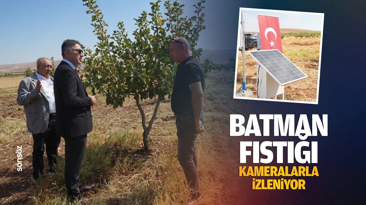 Batman Fıstığı, kameralarla izleniyor