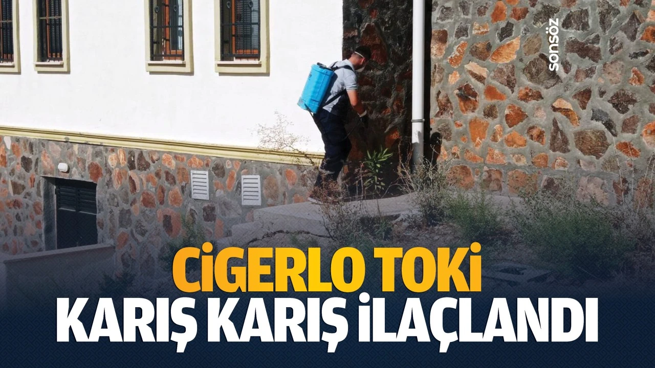 Cigerlo TOKİ karış karış ilaçlandı