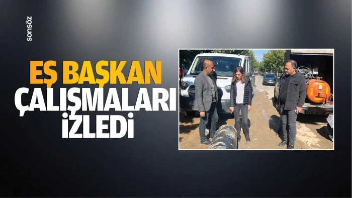 Eş Başkan, çalışmaları izledi