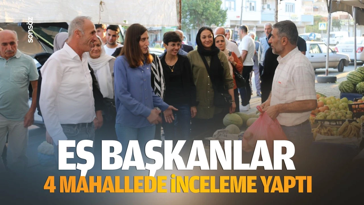 Eş Başkanlar, 4 mahallede inceleme yaptı