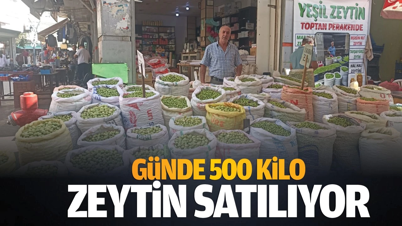 Günde 500 kilo zeytin satılıyor