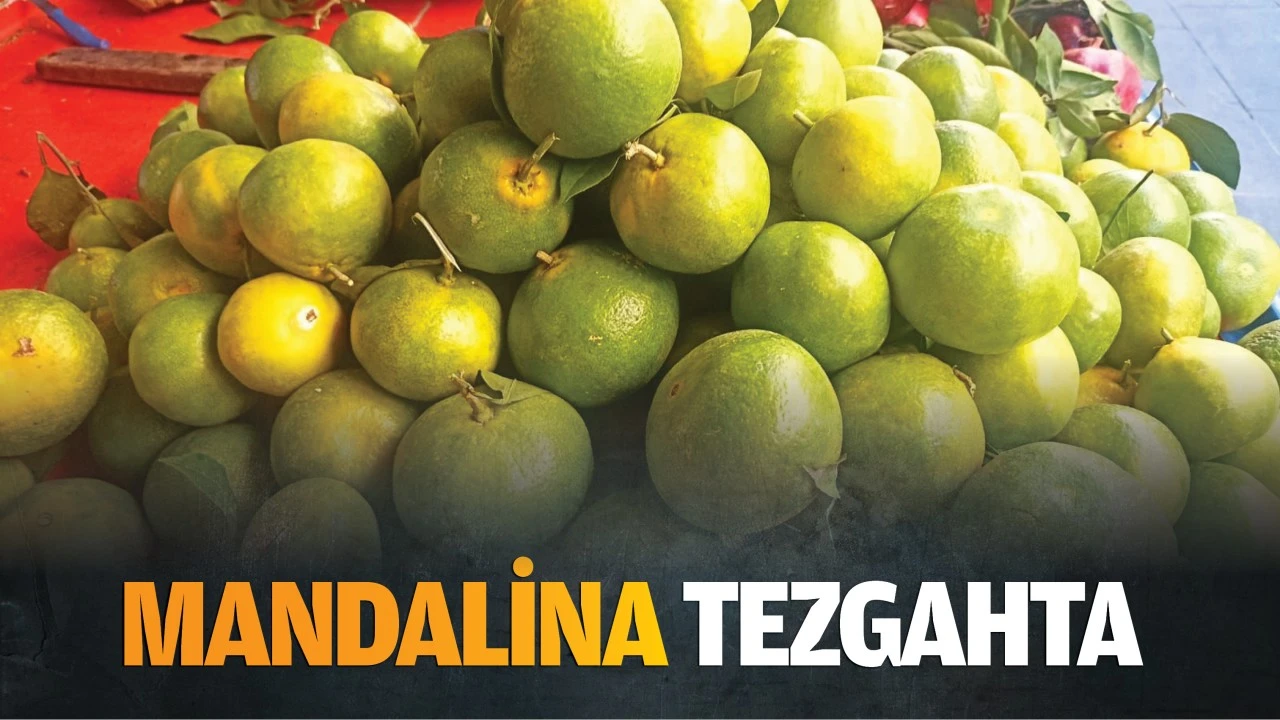 Mandalina tezgahta