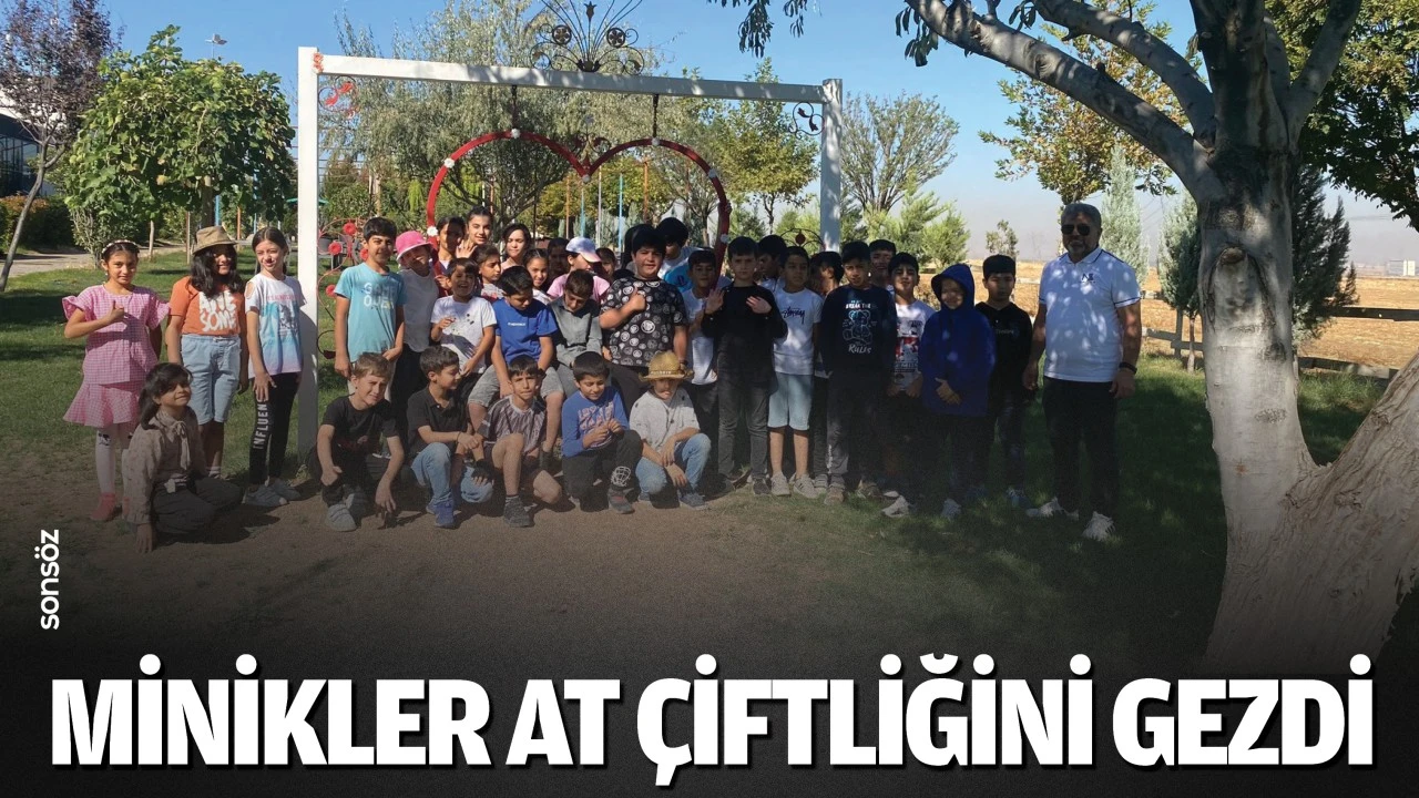 Minikler at çiftliğini gezdi