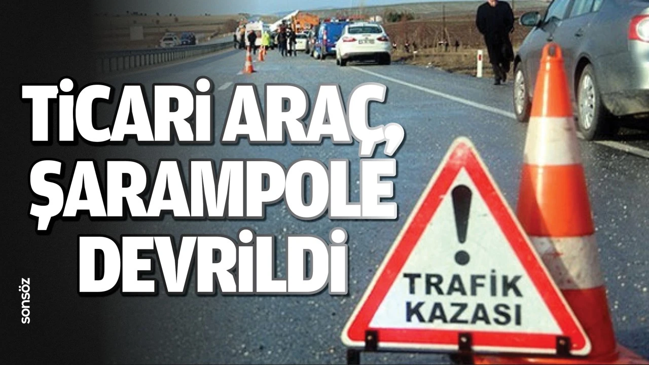 Ticari araç, şarampole devrildi