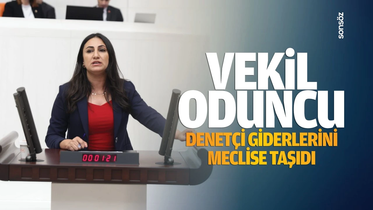 Vekil Oduncu, denetçi giderlerini meclise taşıdı