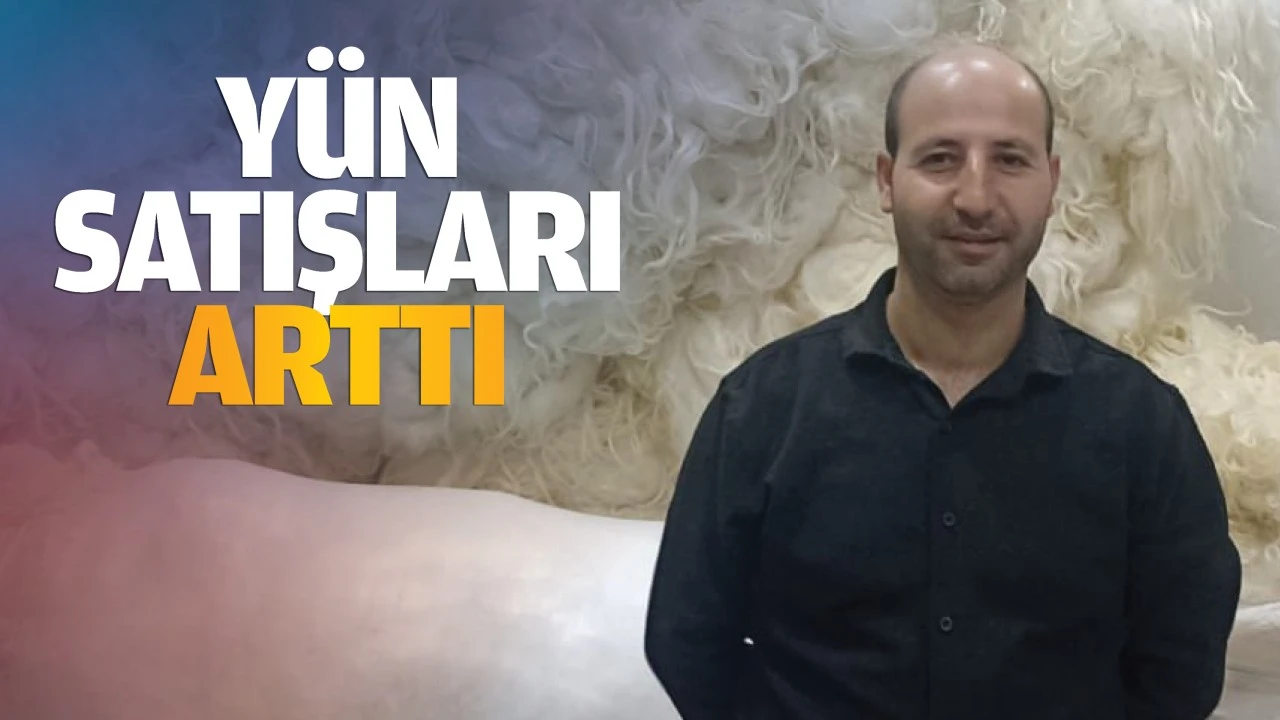 Yün satışları arttı