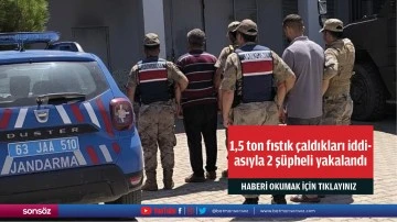 1,5 ton fıstık çaldıkları iddiasıyla 2 şüpheli yakalandı