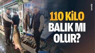 110 kilo balık mı olur? Botan Çayı’nda avlandı