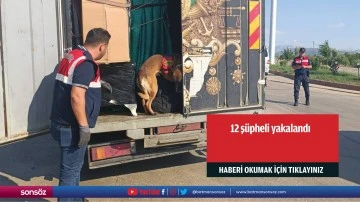 12 şüpheli yakalandı