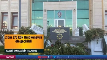 2 bin 375 kök Hint keneviri ele geçirildi