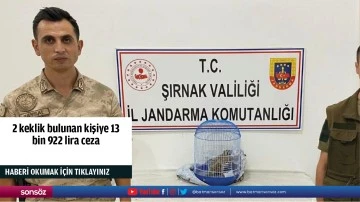 2 keklik bulunan kişiye 13 bin 922 lira ceza