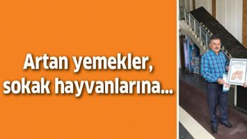 ARTAN YEMEKLER, SOKAK HAYVANLARINA…